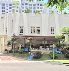 Blk 291D Compassvale Street (Sengkang), HDB 5 Rooms #176186192